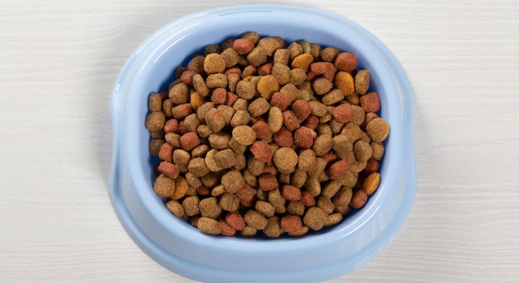 Blue bowl of dry cat food